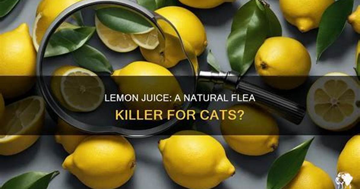 Why Does Lemon Kill Fleas
