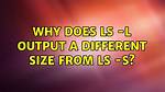 Why Does Ls -L Output a Different Size from Ls -S?