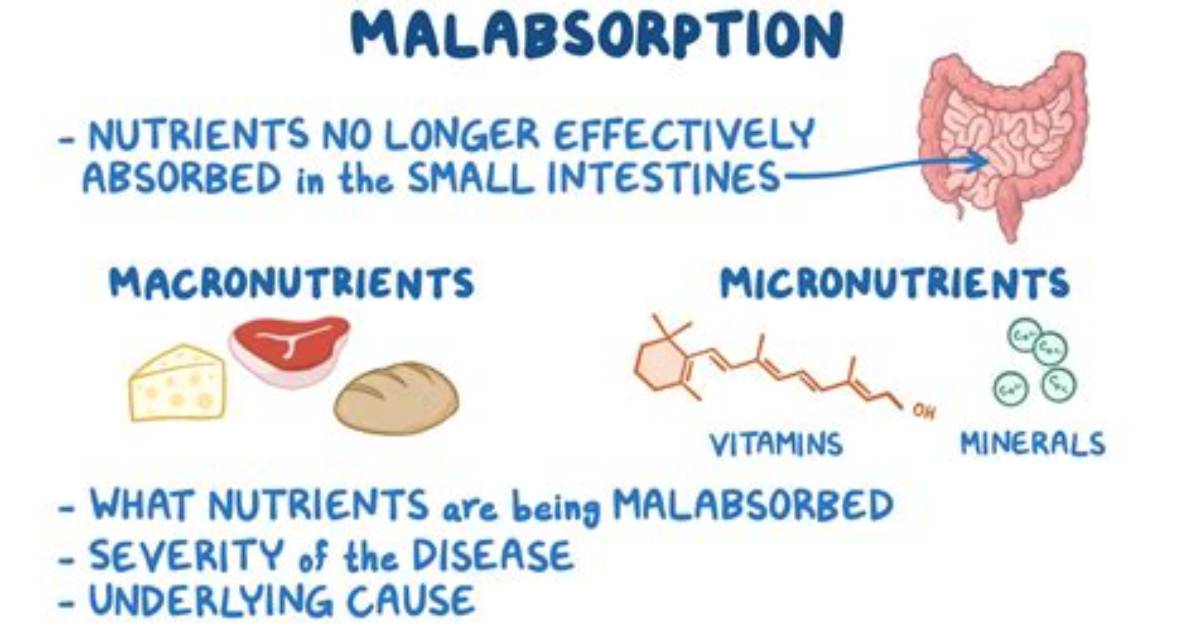 Why Does Malabsorption Occur?