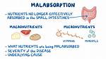 Why Does Malabsorption Occur?