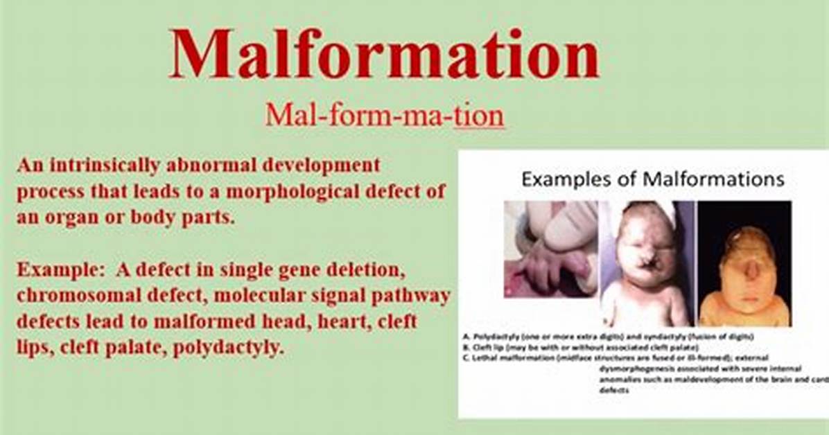 Why Does Malformed Mean?