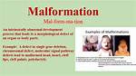 Why Does Malformed Mean?
