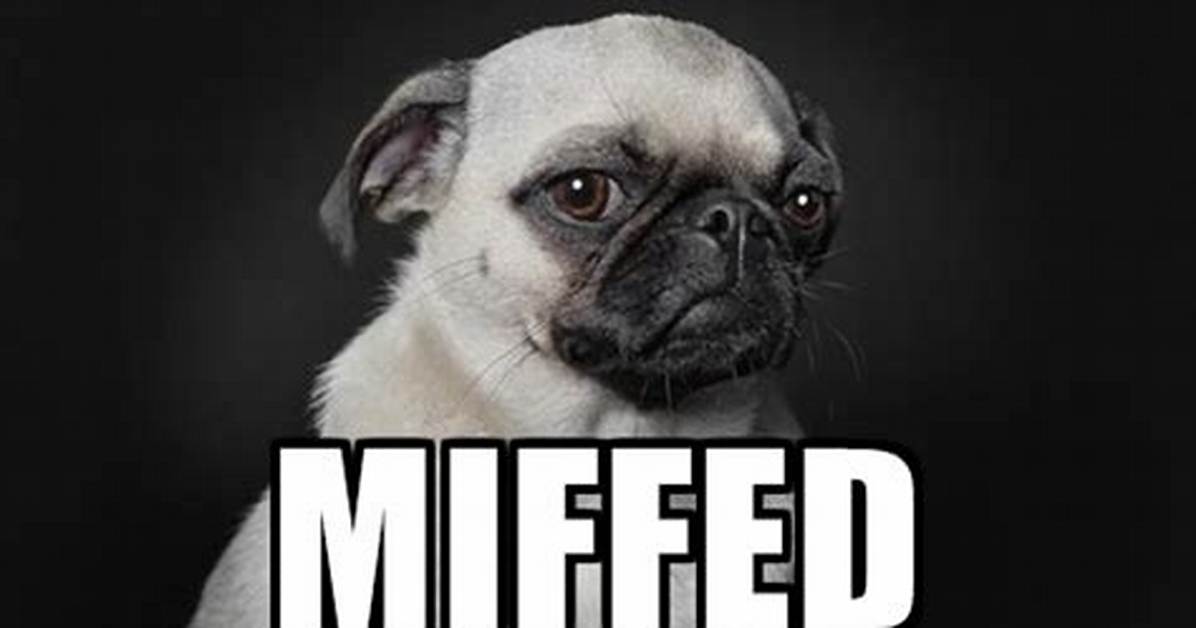 Why Does Miffed Mean?