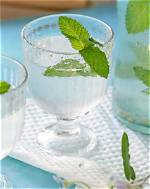 Why Does Mint Make Water Cold