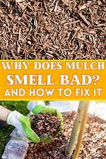 Why Does Mulch Smolder?