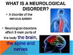 Why Does Neurological Mean?