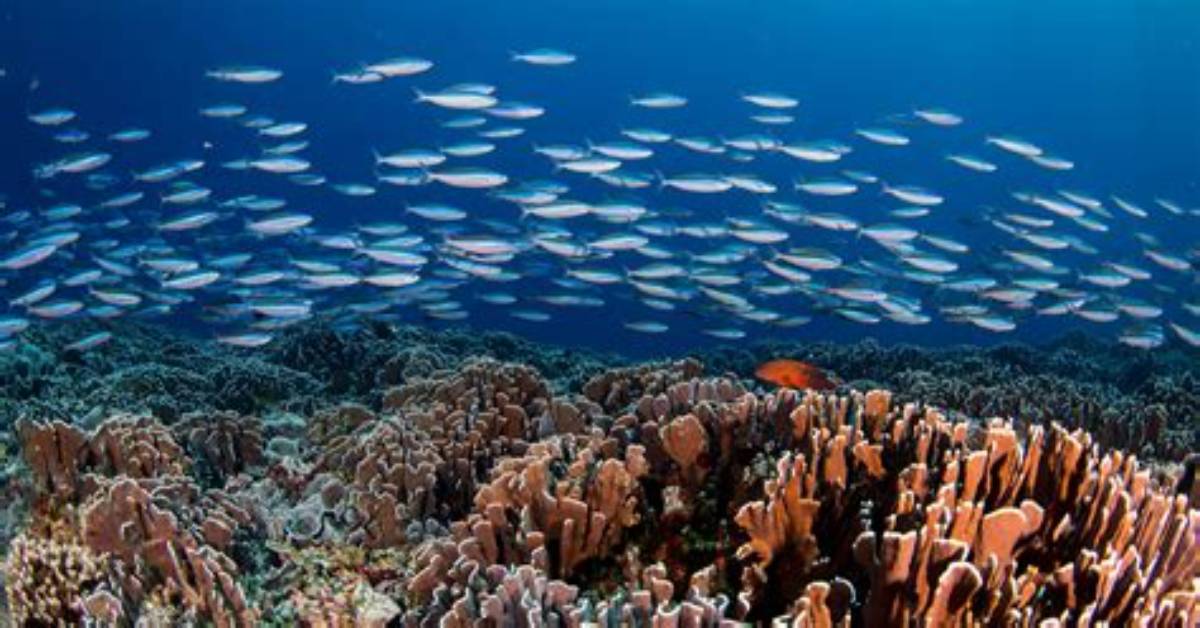 Why Does Oceanography Affect Our Lives?