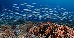 Why Does Oceanography Affect Our Lives?