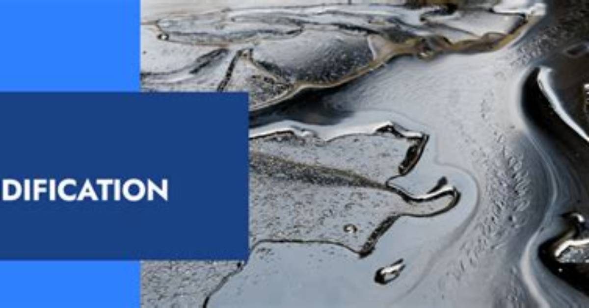 Why Does Oil Solidify When Cooled?