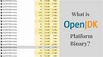 Why Does Openjdk Platform Binary Stucks Open and Use Too Much Ram?