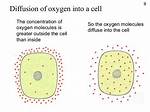 Why Does Oxygen Diffuse into the Cell?