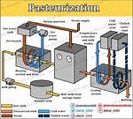 Why Does Pasteurisation Help Milk?