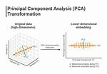 Why Does Pca Improve Performance?
