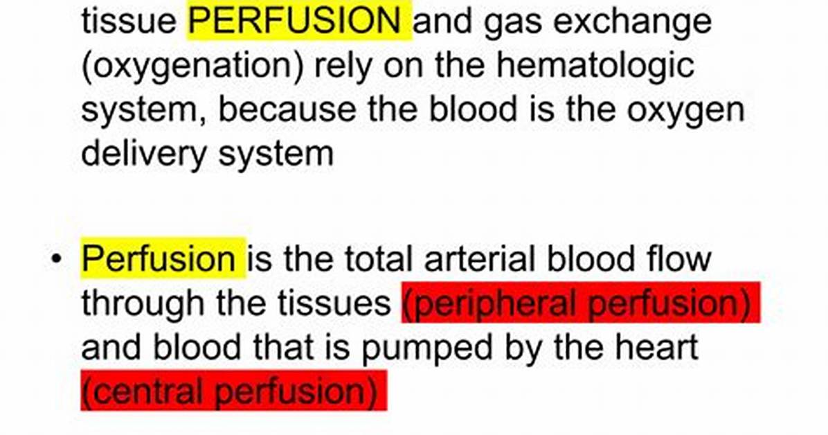 Why Does Perfusion Mean?