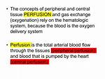 Why Does Perfusion Mean?