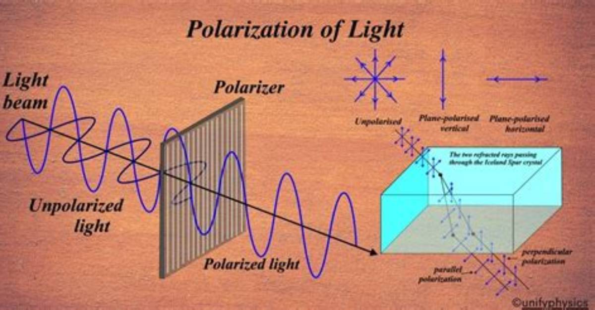 Why Does Polarisation Occur?