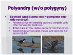 Why Does Polyandry Occur?