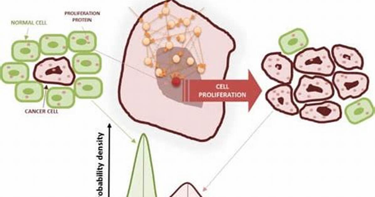 Why Does Proliferation Mean?