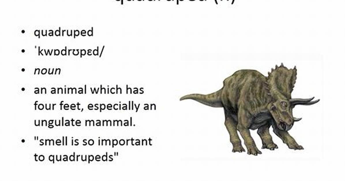 Why Does Quadruped Mean?
