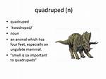 Why Does Quadruped Mean?
