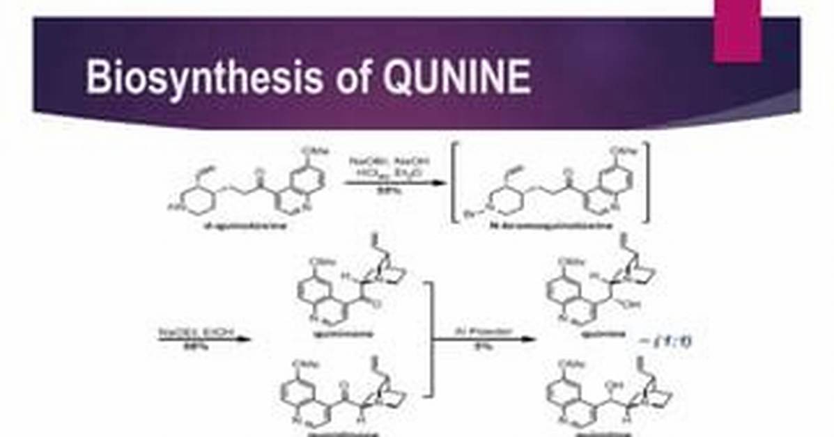 Why Does Quinine Work?