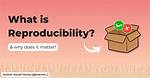 Why Does Reproducibility Matter?