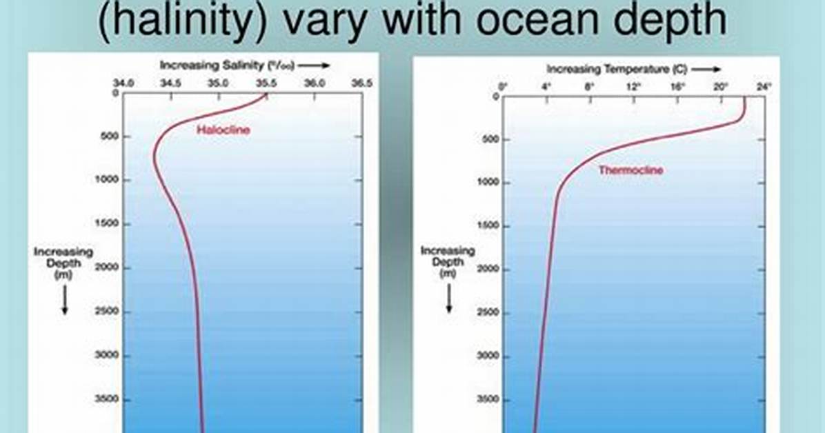 Why Does Salinity Increase with Depth?