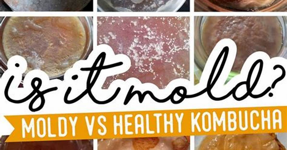 Why Does Scoby Mold?