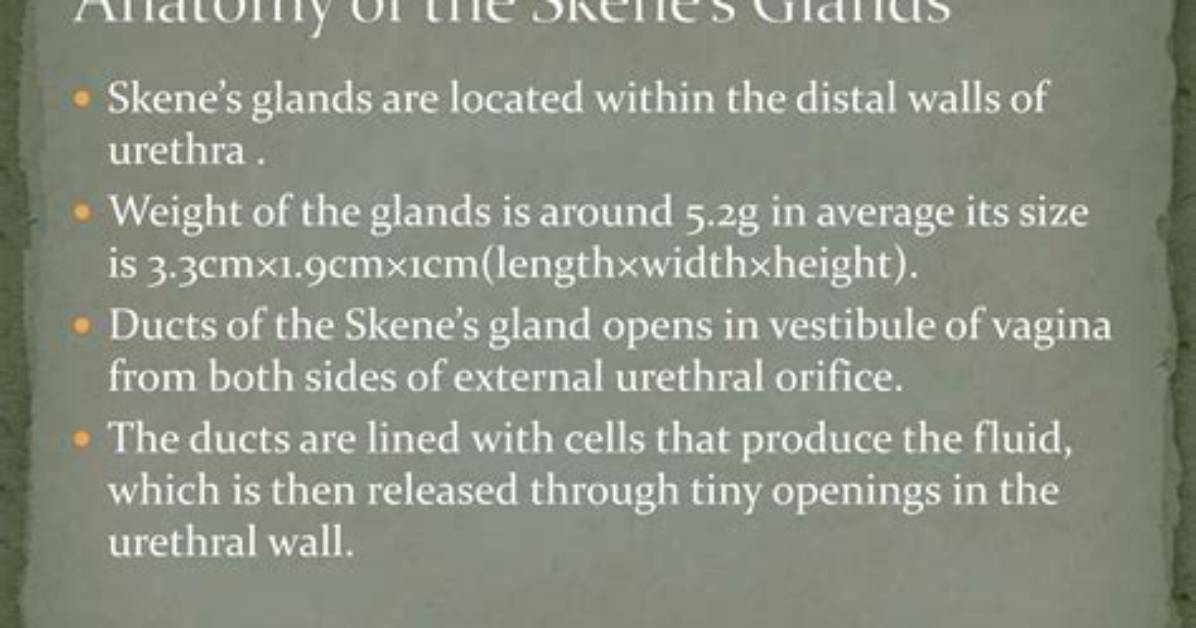Why Does Skene Mean?