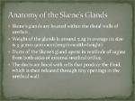 Why Does Skene Mean?