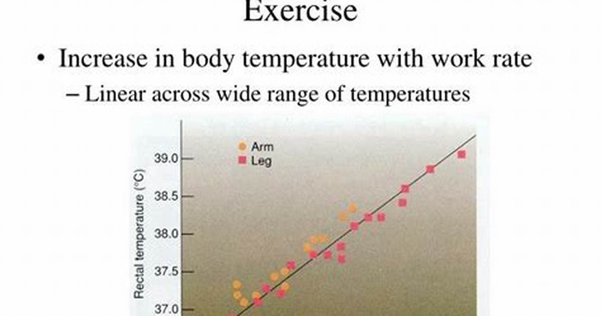 Why Does Skin Temp Decrease During Exercise