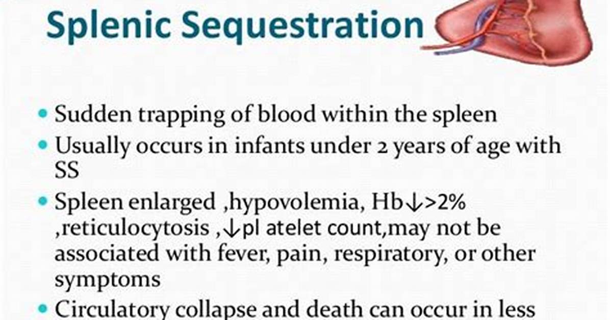 Why Does Splenic Sequestration Occur?