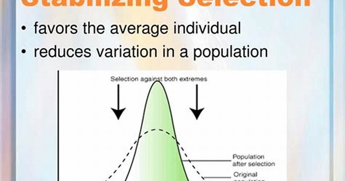 Why Does Stabilizing Selection Occur?