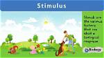 Why Does Stimulate Mean?