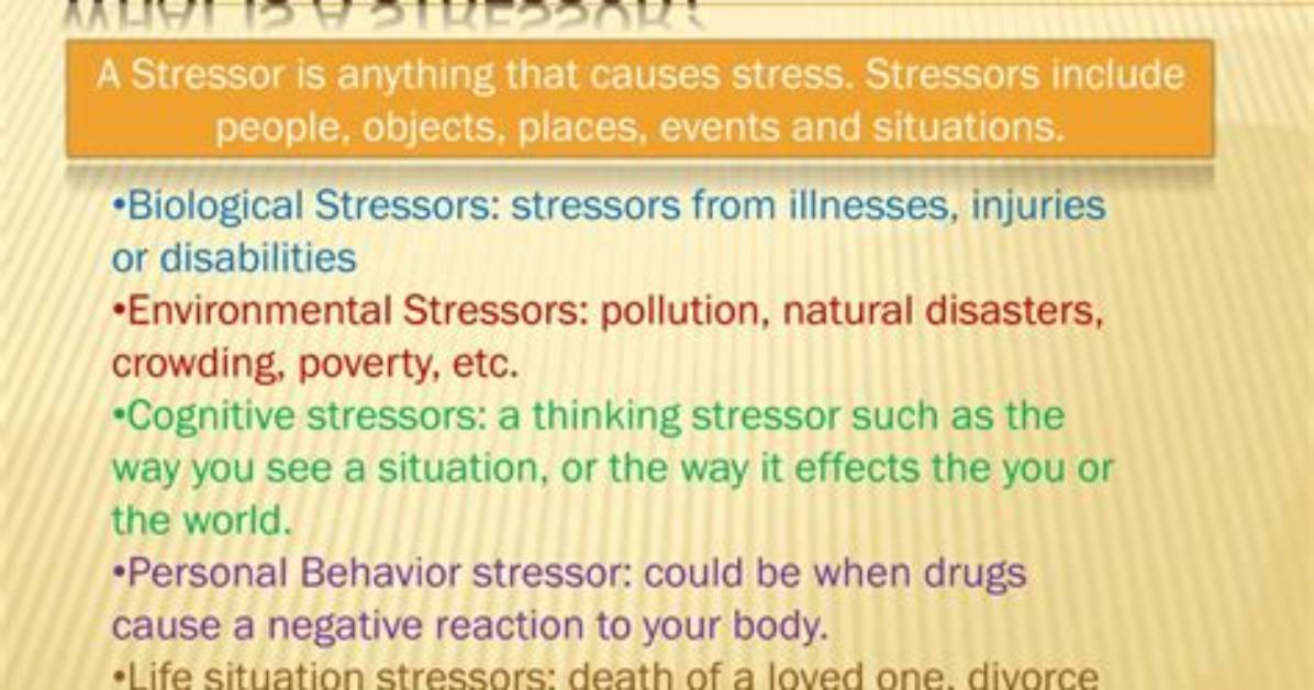 Why Does Stressor Mean?