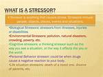 Why Does Stressor Mean?
