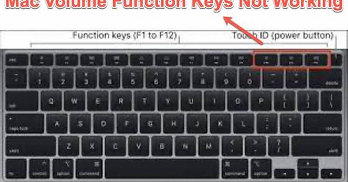 Why Does the Back Button Not Work on Youtube