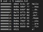 Why Does the Xxd Command Not Respect Byte Grouping When Operated in Reverse?