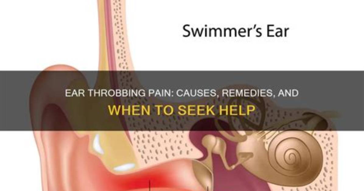 Why Does Throbbing Happen?