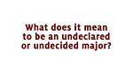 Why Does Undecided Mean?