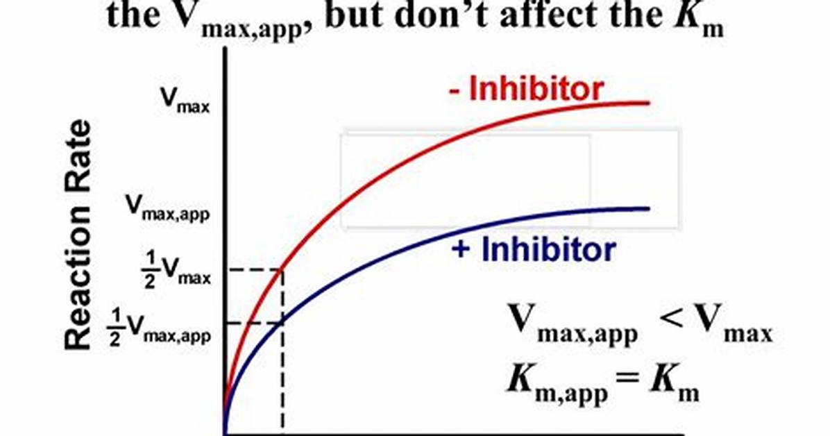 Why Does Vmax Decrease in Noncompetitive Inhibition?