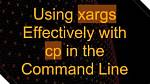 Why Does Xargs with Cp Fail for Recursion?