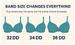Why Double D Bra Size?