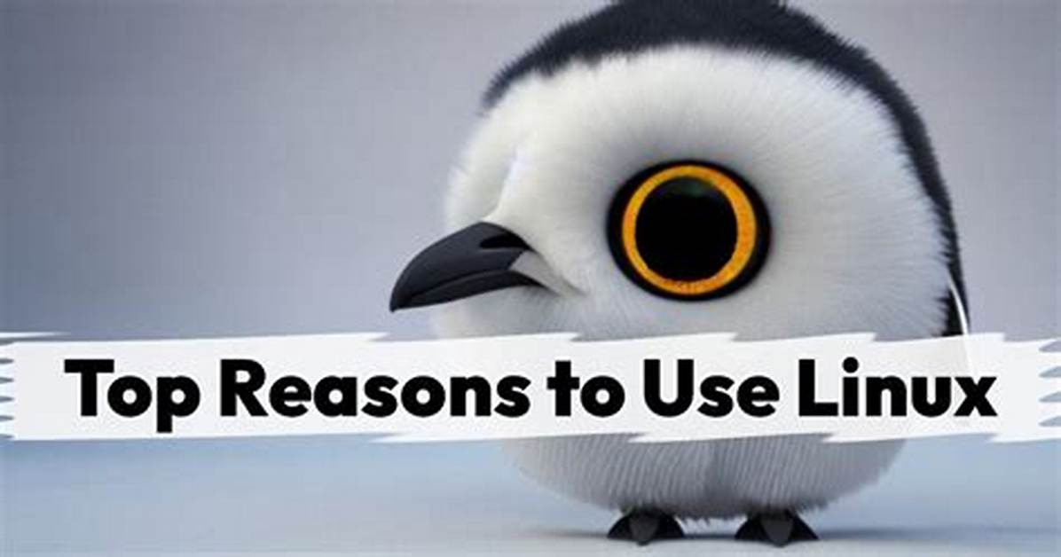 Why Everyone Should Use Linux?