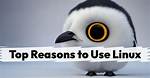 Why Everyone Should Use Linux?