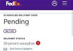 Why Fedex Delivery Exception?