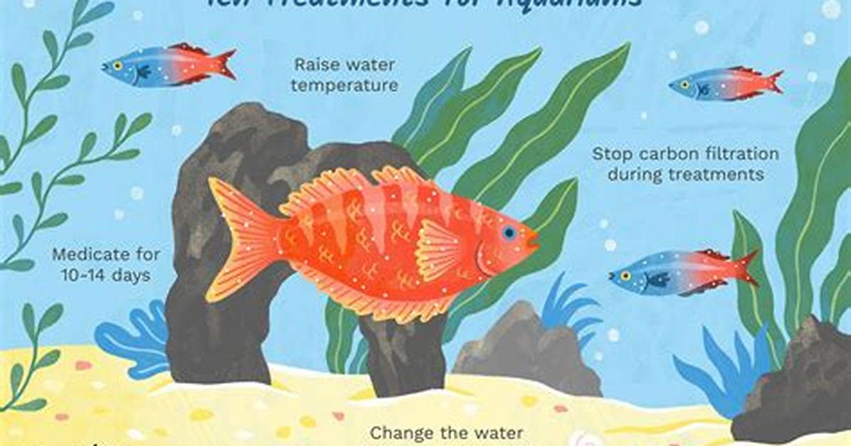 Why Fish Get Ick?