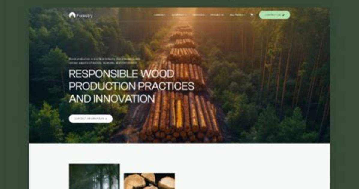 Why Forestry Is Static Website?