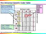 Why Genetic Code Is Universal?