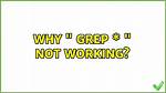 Why " Grep * " Not Working?